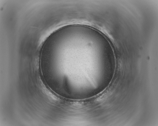 X0000088601504200706081339