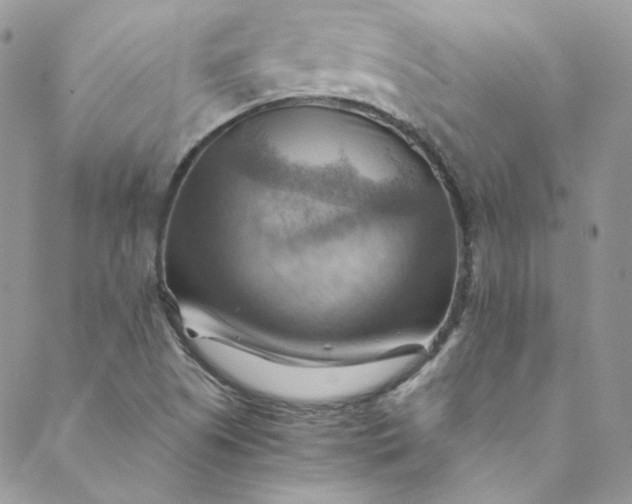 X0000088601505200706081340