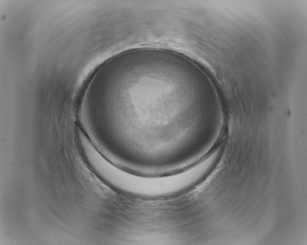 X0000088601506200706081340