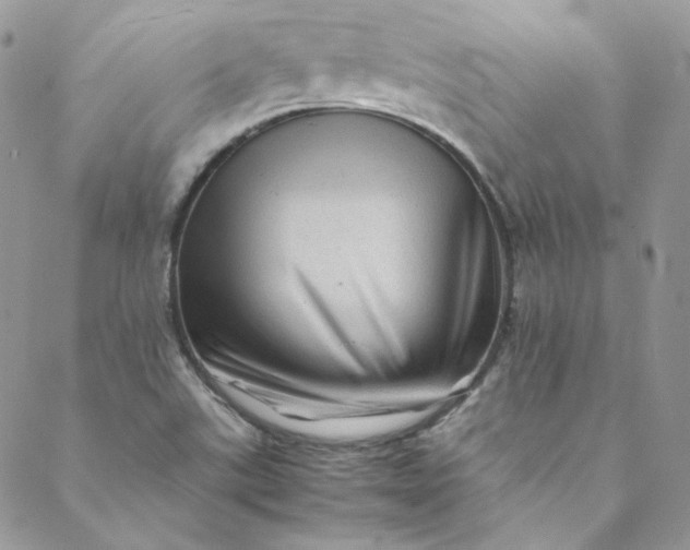 X0000088601507200706081340