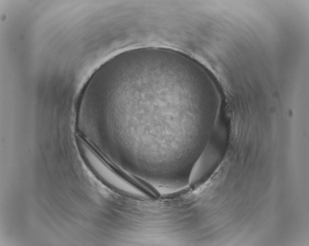 X0000088601508200706081340