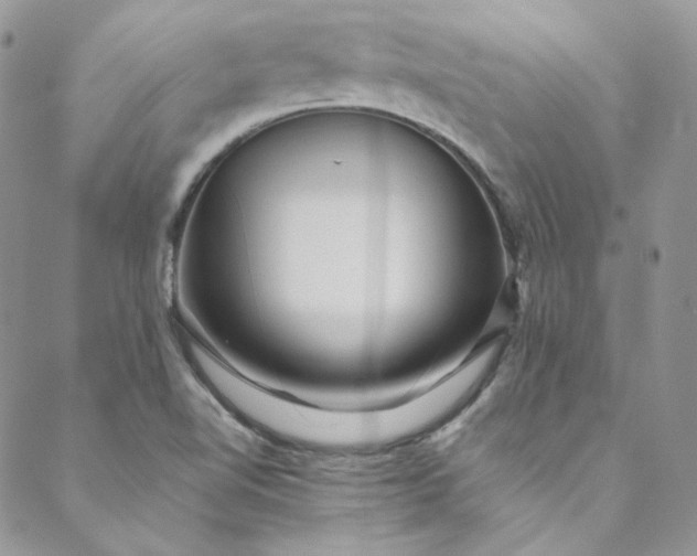 X0000088601510200706081340