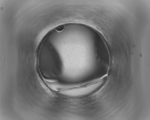 X0000088601511200706081340