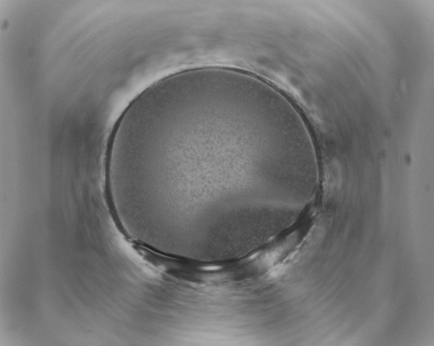 X0000088601512200706081340