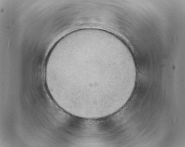 X0000088601514200706081340