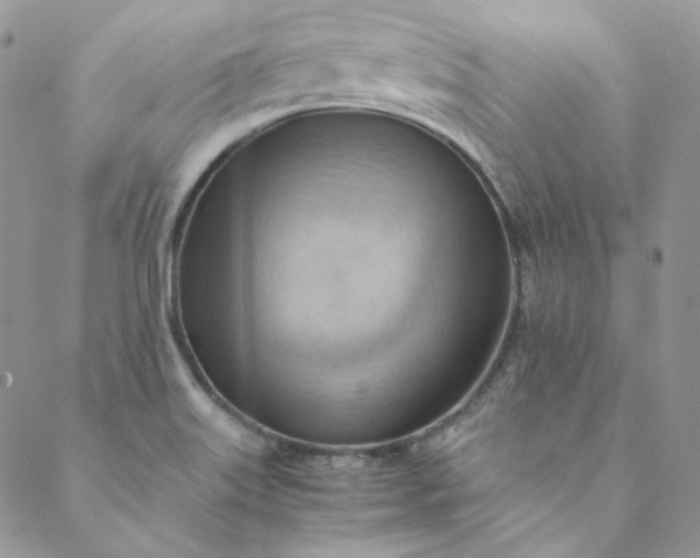 X0000088601515200706081340