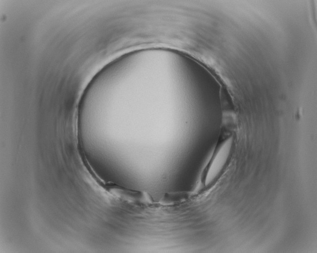 X0000088601516200706081340