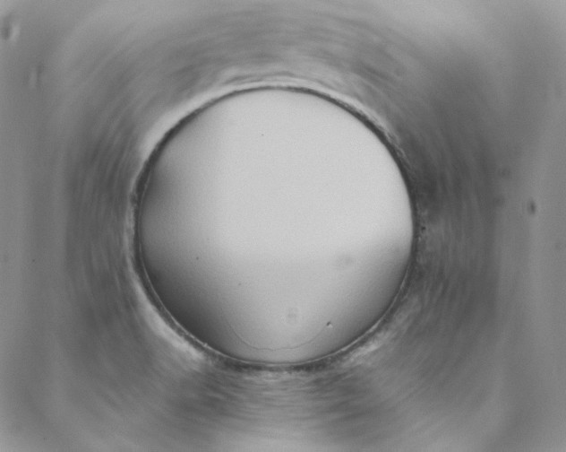 X0000088601518200706081340