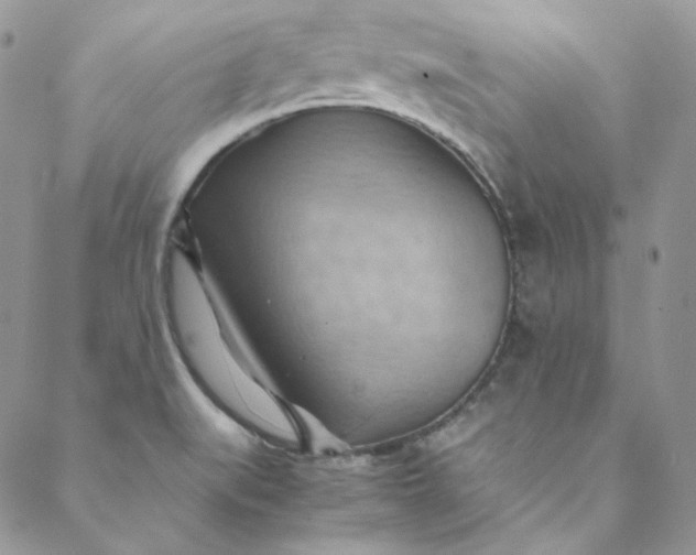 X0000088601519200706081340