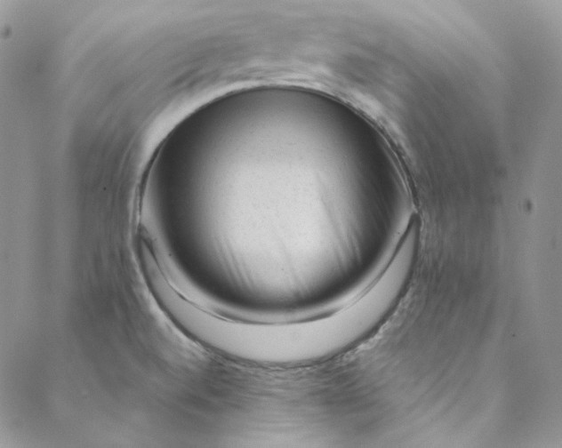 X0000088601520200706081340