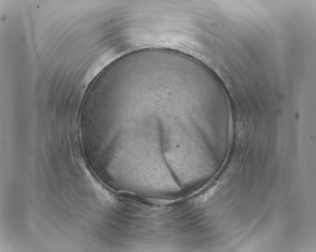 X0000088601521200706081340