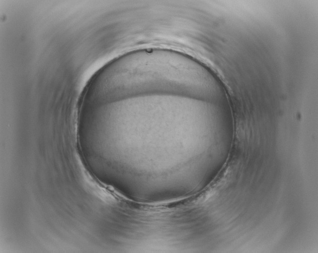 X0000088601522200706081340