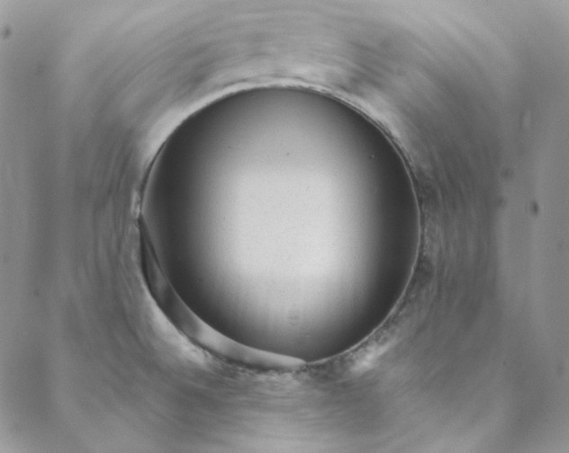 X0000088601524200706081340