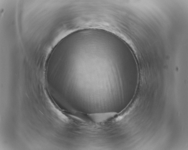 X0000088601525200706081340