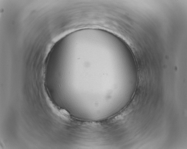 X0000088601526200706081340