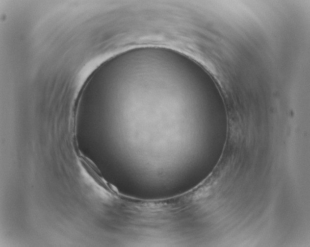 X0000088601527200706081340