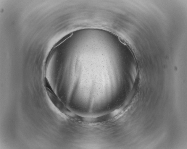 X0000088601528200706081340