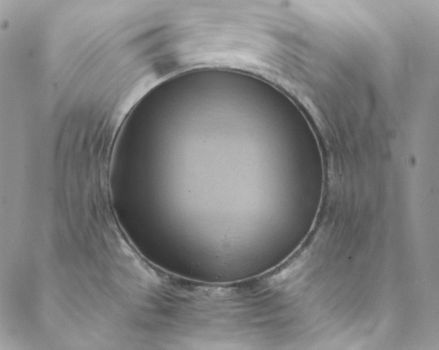 X0000088601529200706081340