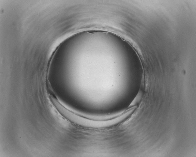 X0000088601530200706081340