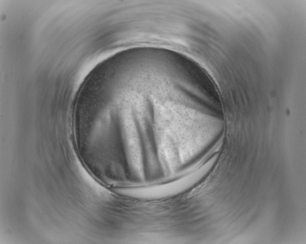 X0000088601531200706081340