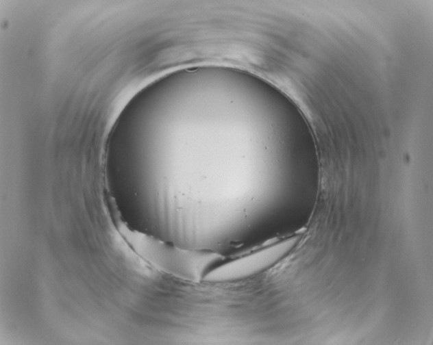 X0000088601532200706081340