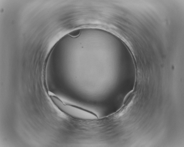 X0000088601533200706081340