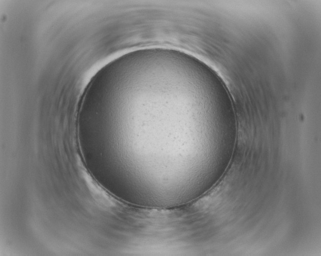 X0000088601534200706081340