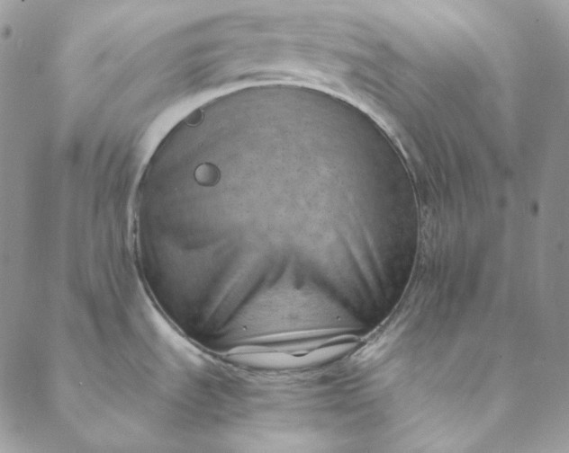 X0000088601535200706081340