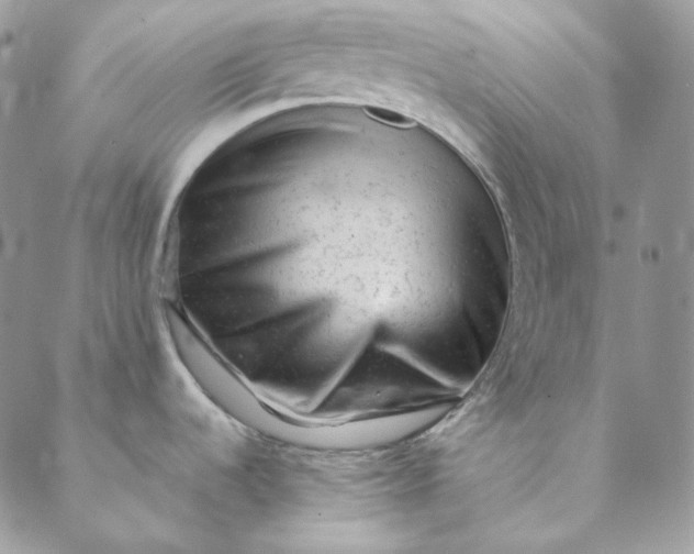 X0000088601536200706081340