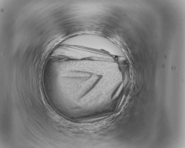 X0000088600001200706151813