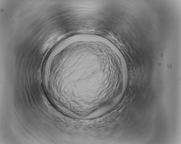 X0000088600002200706151813