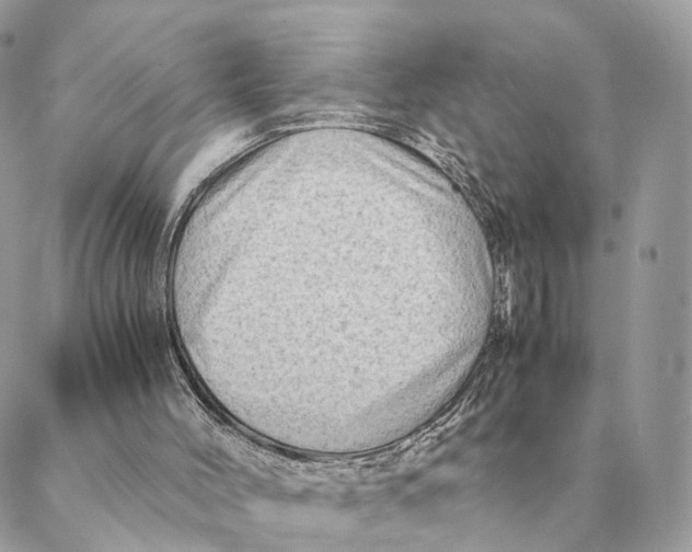 X0000088600004200706151813