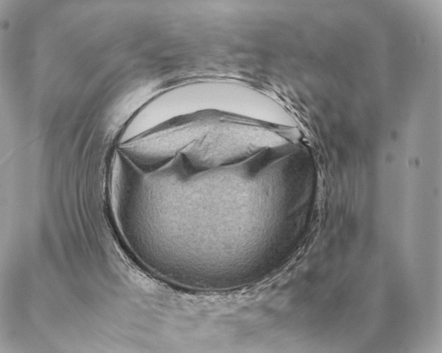 X0000088600005200706151813