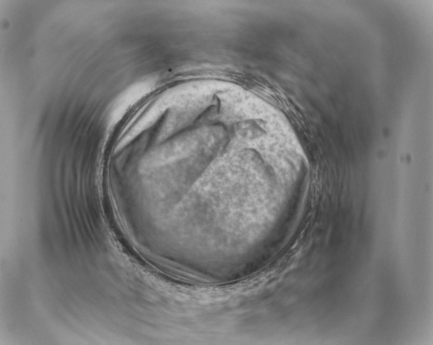 X0000088600006200706151813