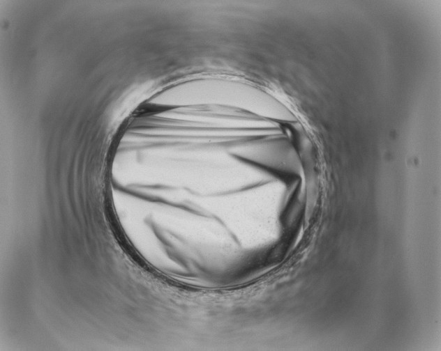 X0000088600007200706151813