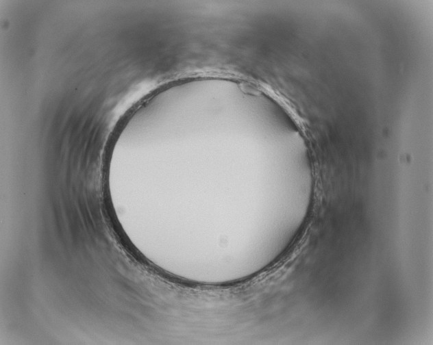 X0000088600008200706151813