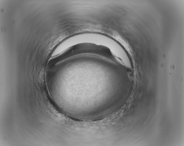 X0000088600009200706151813