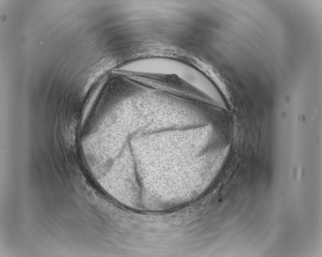 X0000088600010200706151813