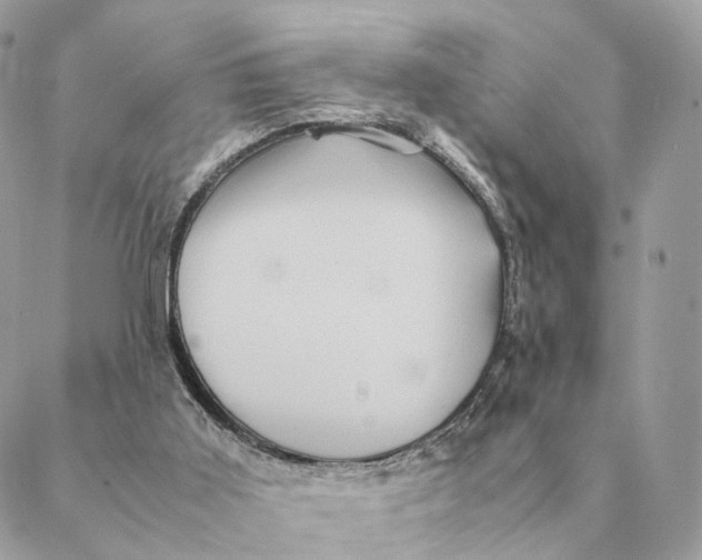 X0000088600011200706151813