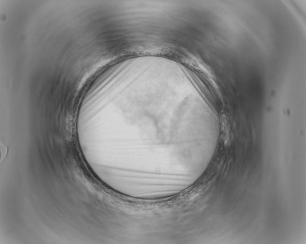 X0000088600012200706151813