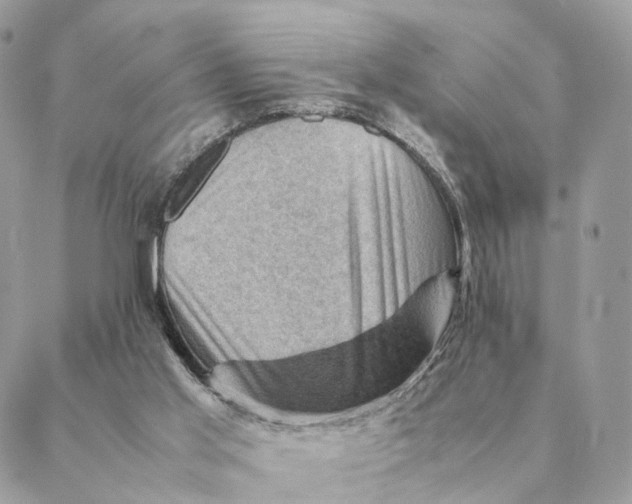 X0000088600013200706151813