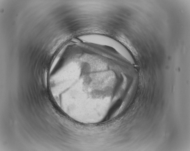 X0000088600014200706151813