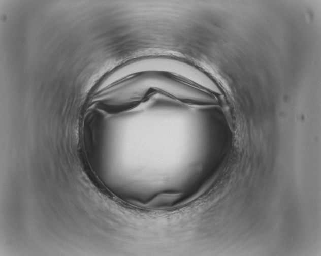 X0000088600015200706151813