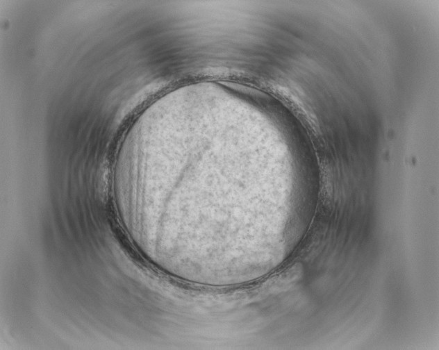 X0000088600016200706151813