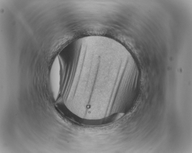 X0000088600017200706151813