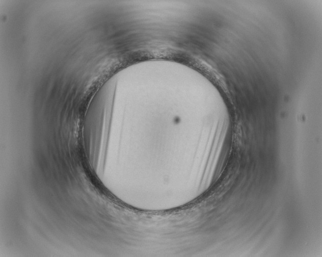 X0000088600018200706151813