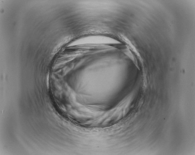 X0000088600019200706151813