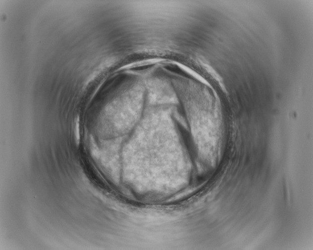 X0000088600020200706151812