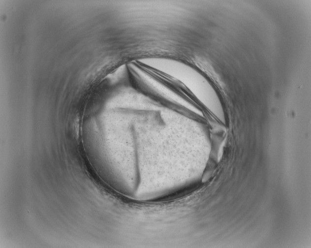 X0000088600021200706151812