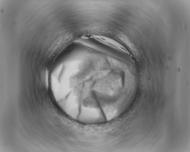 X0000088600022200706151812